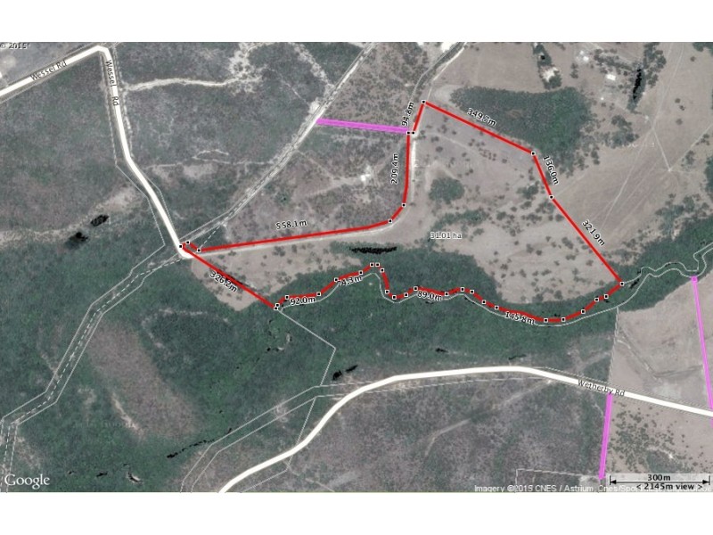 151 Wessel Road, Mount Molloy QLD 4871