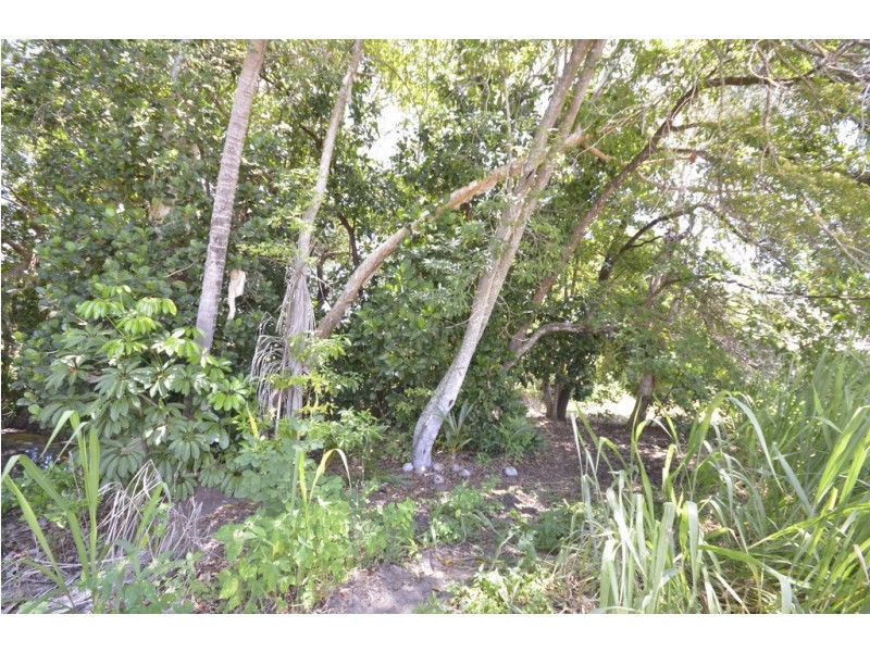 34 Ives Avenue, Wonga Beach QLD 4873