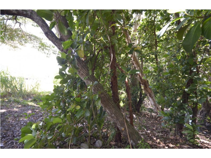 34 Ives Avenue, Wonga Beach QLD 4873