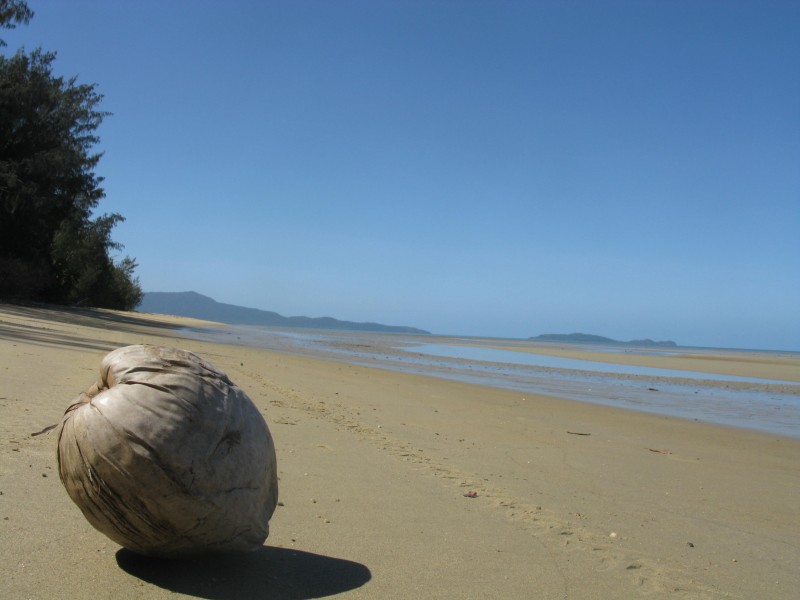 34 Ives Avenue, Wonga Beach QLD 4873