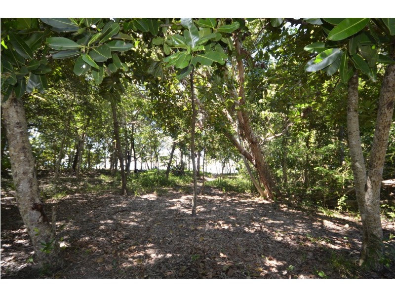 8 Camelia Close, Wonga Beach QLD 4873