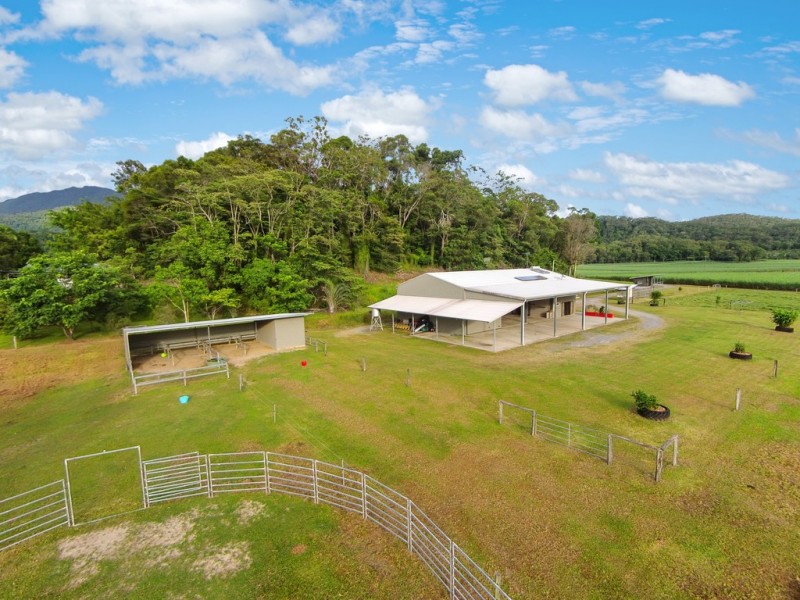 474 Syndicate Road, Miallo QLD 4873