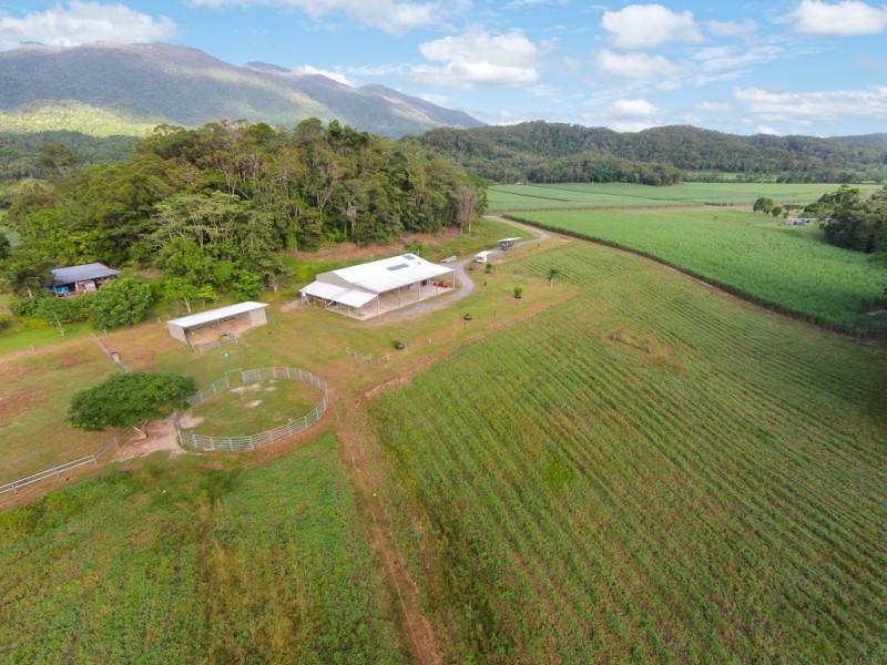 474 Syndicate Road, Miallo QLD 4873