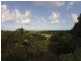 Lot 1 Mossman-Daintree Road, Wonga Beach QLD 4873