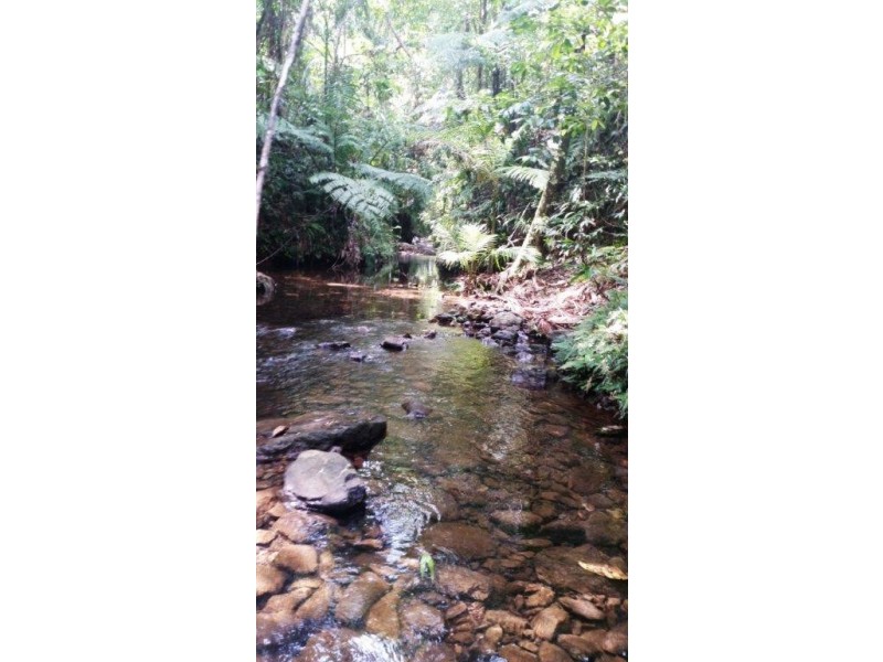 1466 Cape Tribulation Road, Daintree QLD 4873