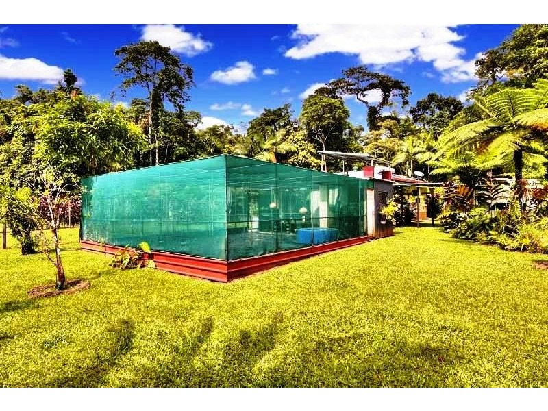 1466 Cape Tribulation Road, Daintree QLD 4873