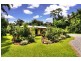 1466 Cape Tribulation Road, Daintree QLD 4873