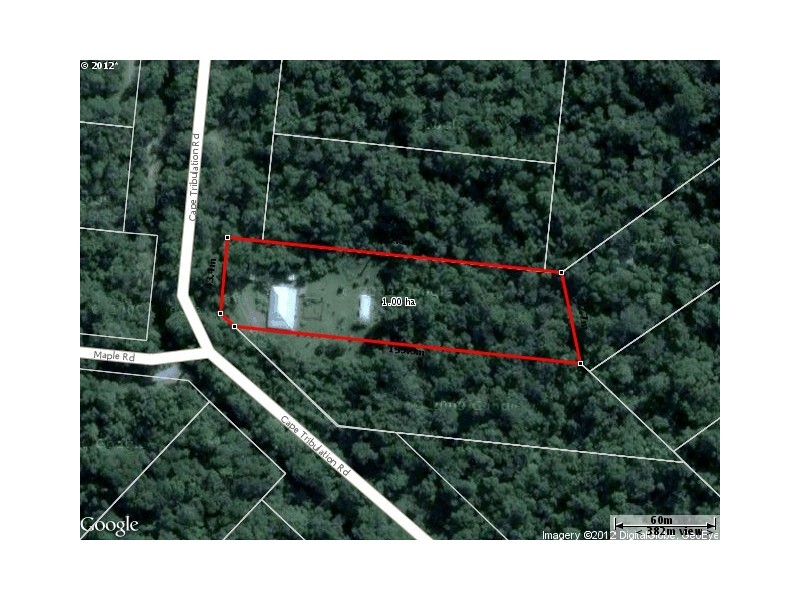 1466 Cape Tribulation Road, Daintree QLD 4873