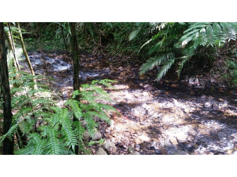 1466 Cape Tribulation Road, Daintree QLD 4873