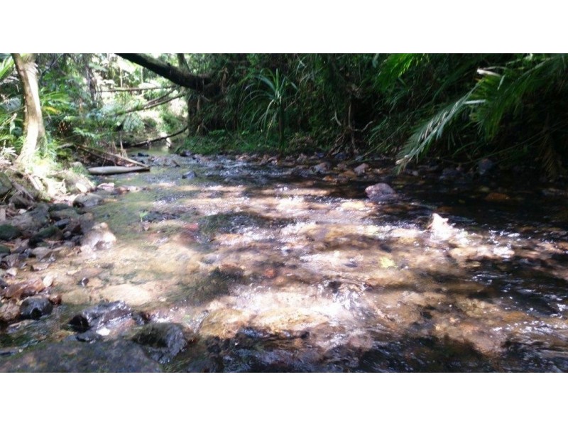 1466 Cape Tribulation Road, Daintree QLD 4873