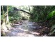 1466 Cape Tribulation Road, Daintree QLD 4873