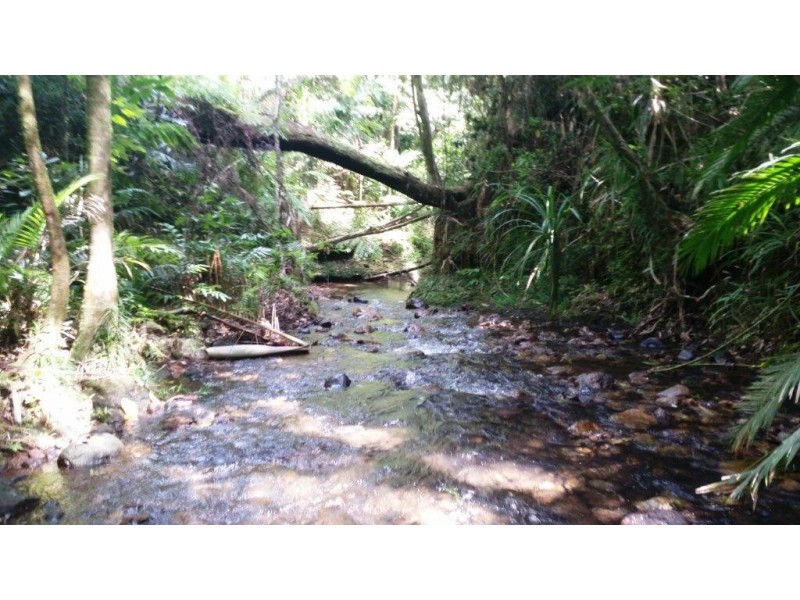 1466 Cape Tribulation Road, Daintree QLD 4873