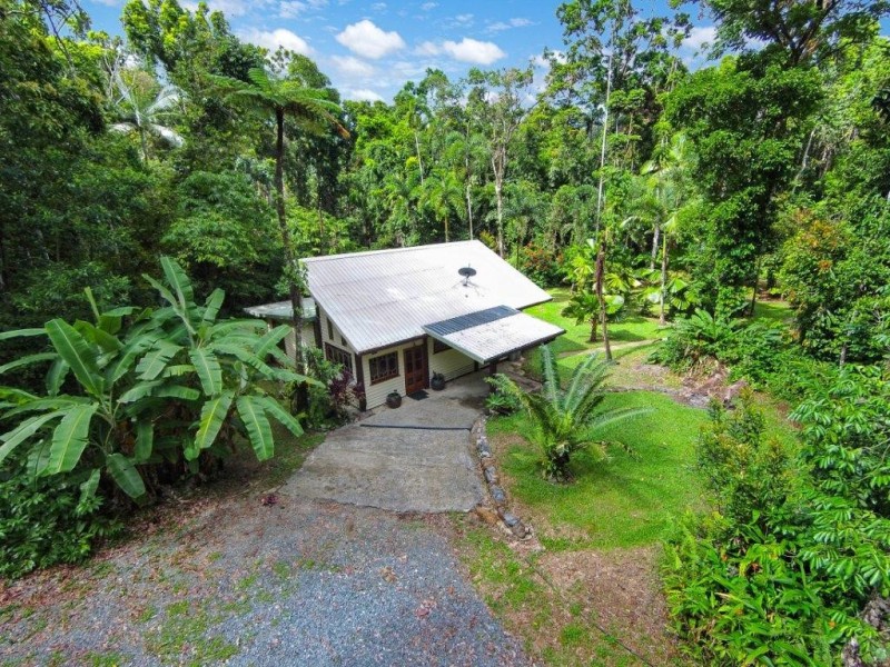 Lot 190 Stonewood Road, Daintree QLD 4873
