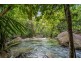 Lot 190 Stonewood Road, Daintree QLD 4873