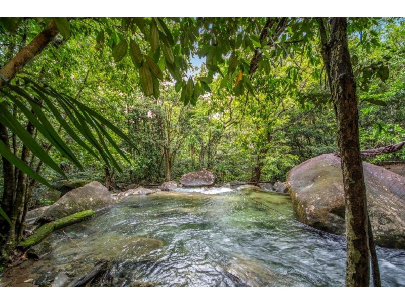Lot 190 Stonewood Road, Daintree QLD 4873