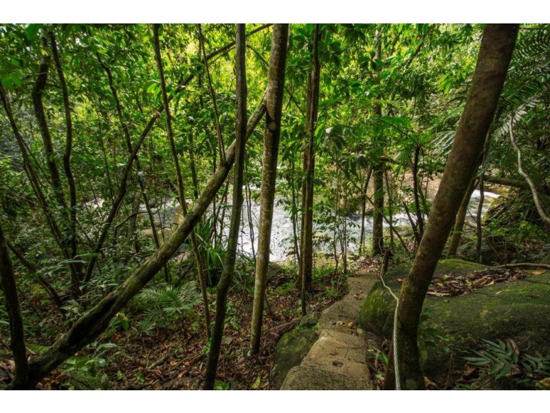 Lot 190 Stonewood Road, Daintree QLD 4873