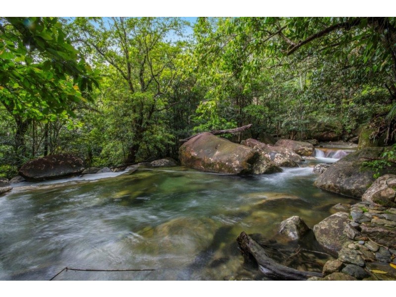 Lot 190 Stonewood Road, Daintree QLD 4873