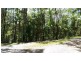 Lot 10 Andrew Road, Forest Creek,, Daintree QLD 4873