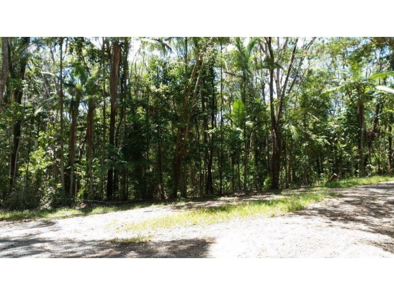 Lot 10 Andrew Road, Forest Creek,, Daintree QLD 4873