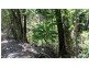 Lot 10 Andrew Road, Forest Creek,, Daintree QLD 4873