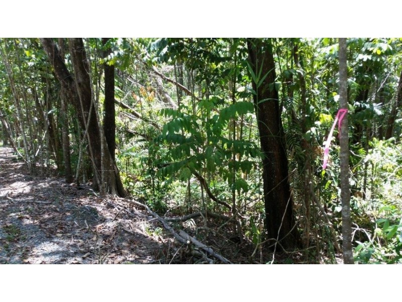 Lot 10 Andrew Road, Forest Creek,, Daintree QLD 4873