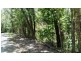 Lot 10 Andrew Road, Forest Creek,, Daintree QLD 4873