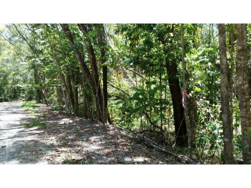 Lot 10 Andrew Road, Forest Creek,, Daintree QLD 4873
