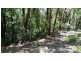 Lot 10 Andrew Road, Forest Creek,, Daintree QLD 4873