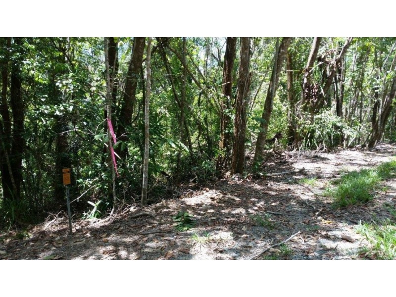 Lot 10 Andrew Road, Forest Creek,, Daintree QLD 4873