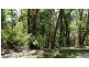Lot 10 Andrew Road, Forest Creek,, Daintree QLD 4873