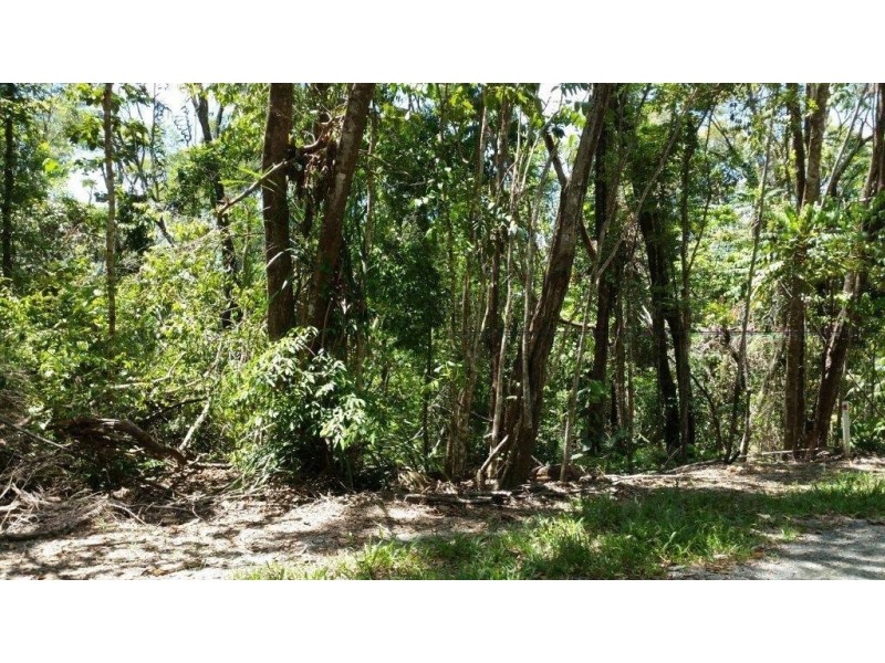 Lot 10 Andrew Road, Forest Creek,, Daintree QLD 4873
