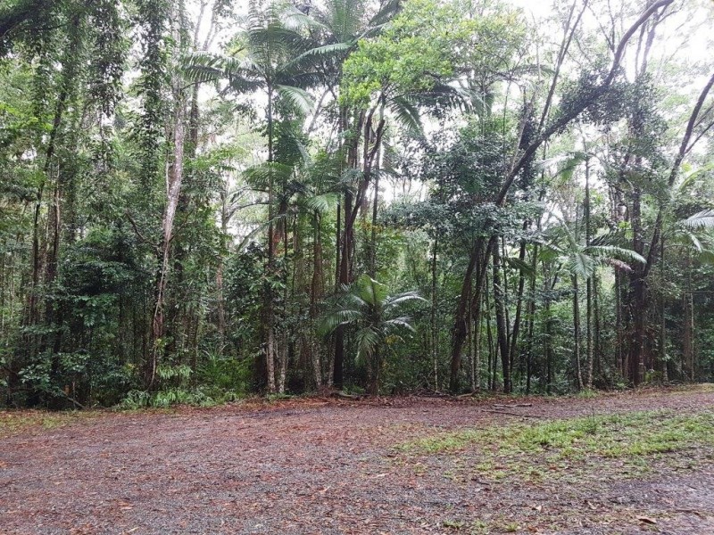 Lot 10 Andrew Road, Forest Creek,, Daintree QLD 4873