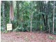 Lot 10 Andrew Road, Forest Creek,, Daintree QLD 4873