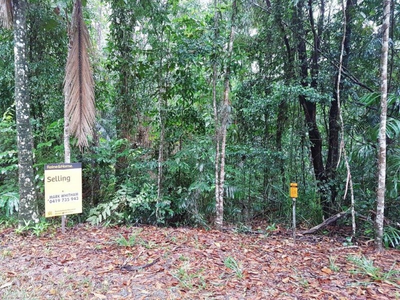 Lot 10 Andrew Road, Forest Creek,, Daintree QLD 4873