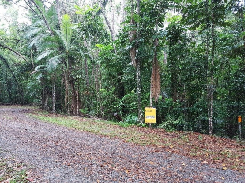 Lot 10 Andrew Road, Forest Creek,, Daintree QLD 4873