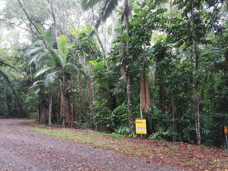 Lot 10 Andrew Road, Forest Creek,, Daintree QLD 4873