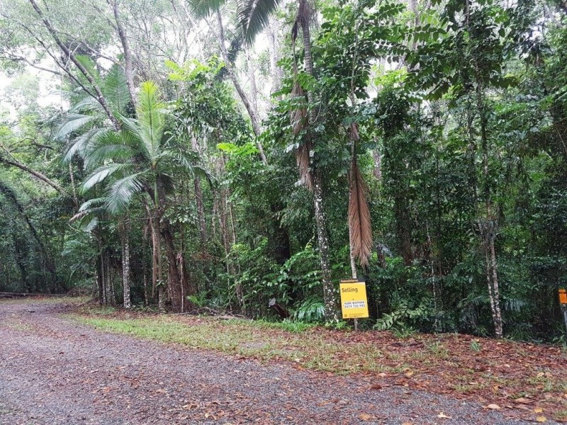 Lot 10 Andrew Road, Forest Creek,, Daintree QLD 4873