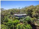 236 96R White Beech Road, Daintree QLD 4873