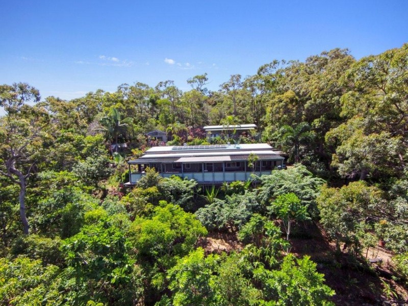 236 96R White Beech Road, Daintree QLD 4873