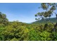 236 96R White Beech Road, Daintree QLD 4873
