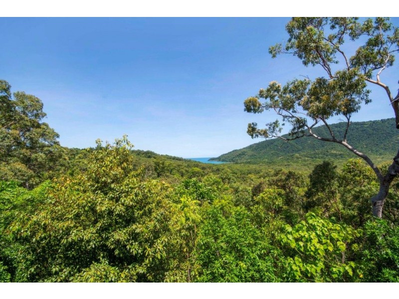 236 96R White Beech Road, Daintree QLD 4873