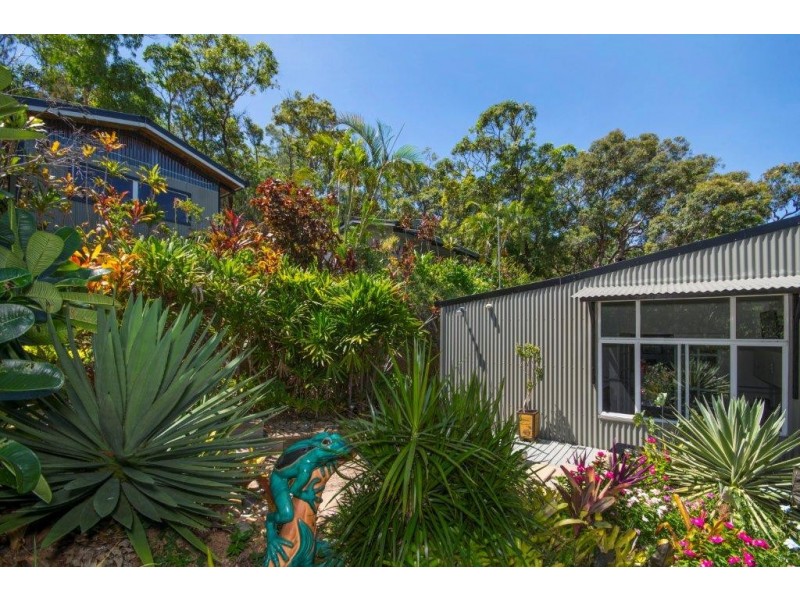 236 96R White Beech Road, Daintree QLD 4873