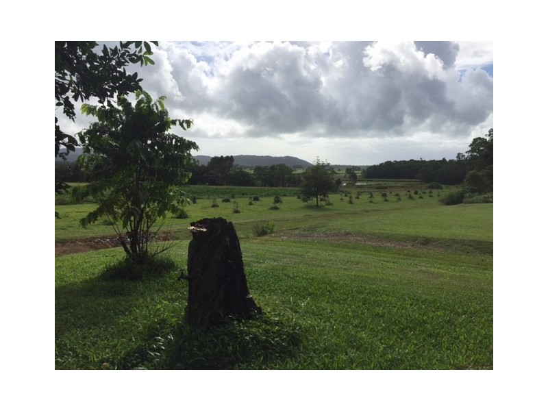 23 O’Callaghan Close, Miallo QLD 4873
