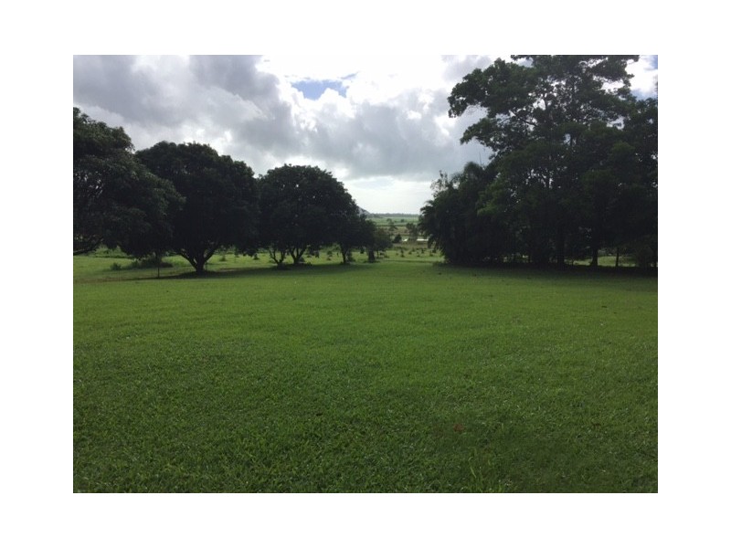 23 O’Callaghan Close, Miallo QLD 4873