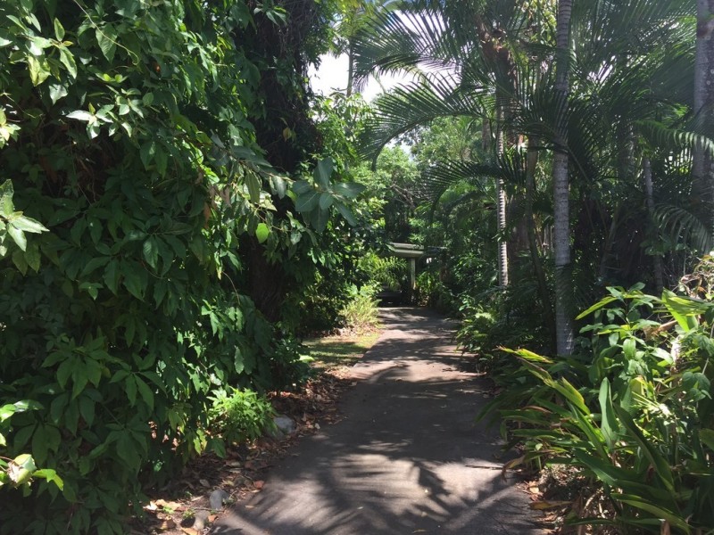 18 Sonata Close, Port Douglas QLD 4877