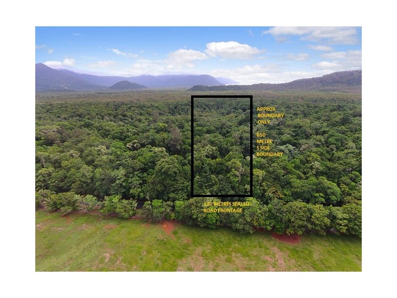 4 Buchanan Creek Road, Daintree QLD 4873