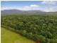 4 Buchanan Creek Road, Daintree QLD 4873