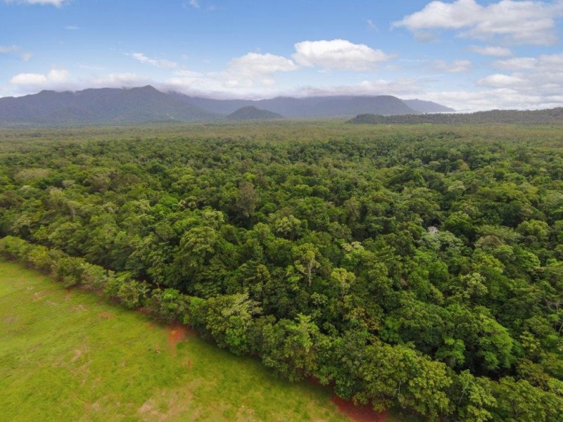 4 Buchanan Creek Road, Daintree QLD 4873