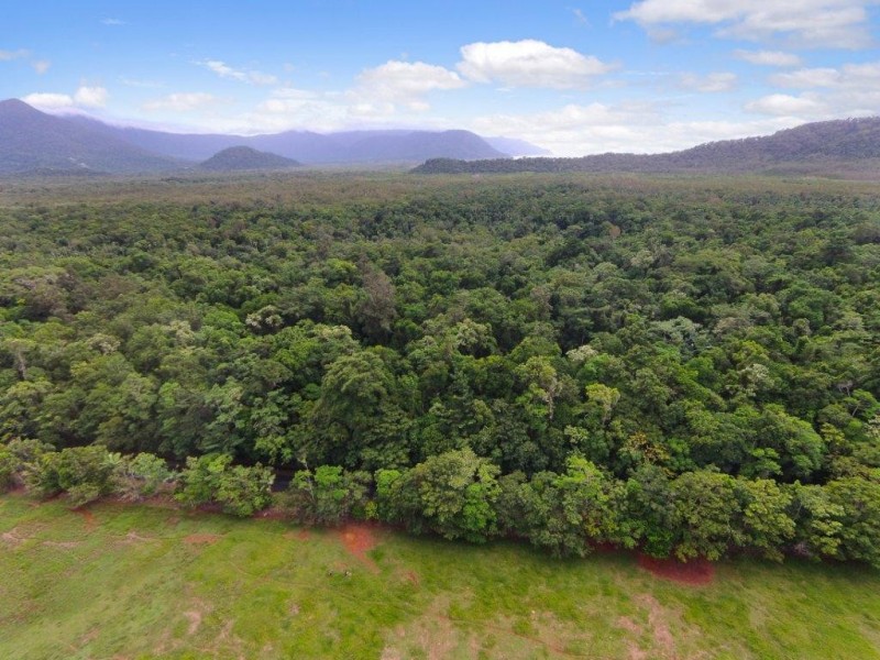 4 Buchanan Creek Road, Daintree QLD 4873