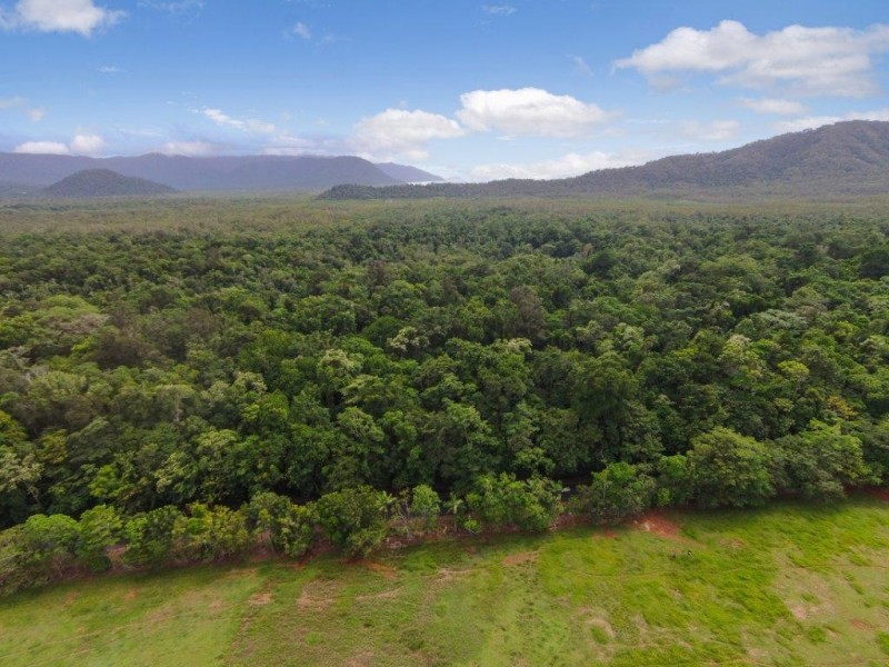 4 Buchanan Creek Road, Daintree QLD 4873